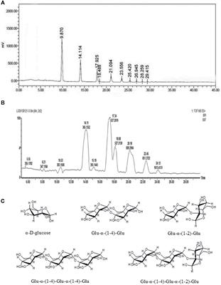 Protective Actions of Acidic Hydrolysates of Polysaccharide Extracted From Mactra veneriformis Against Chemical-Induced Acute Liver Damage